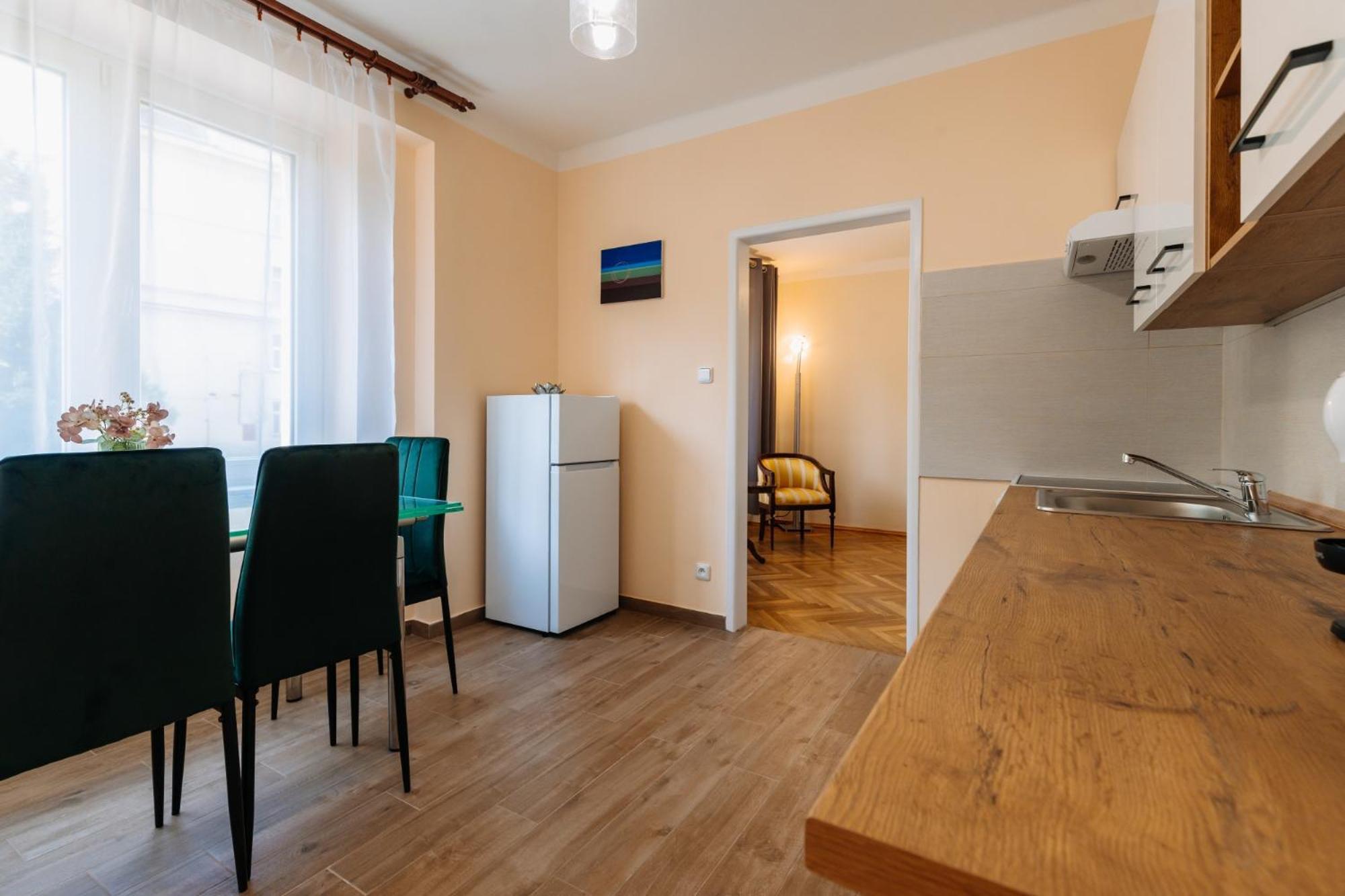 Apartments Tgm 11 Karlovy Vary Bagian luar foto